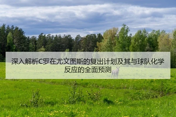 深入解析C罗在尤文图斯的复出计划及其与球队化学反应的全面预测